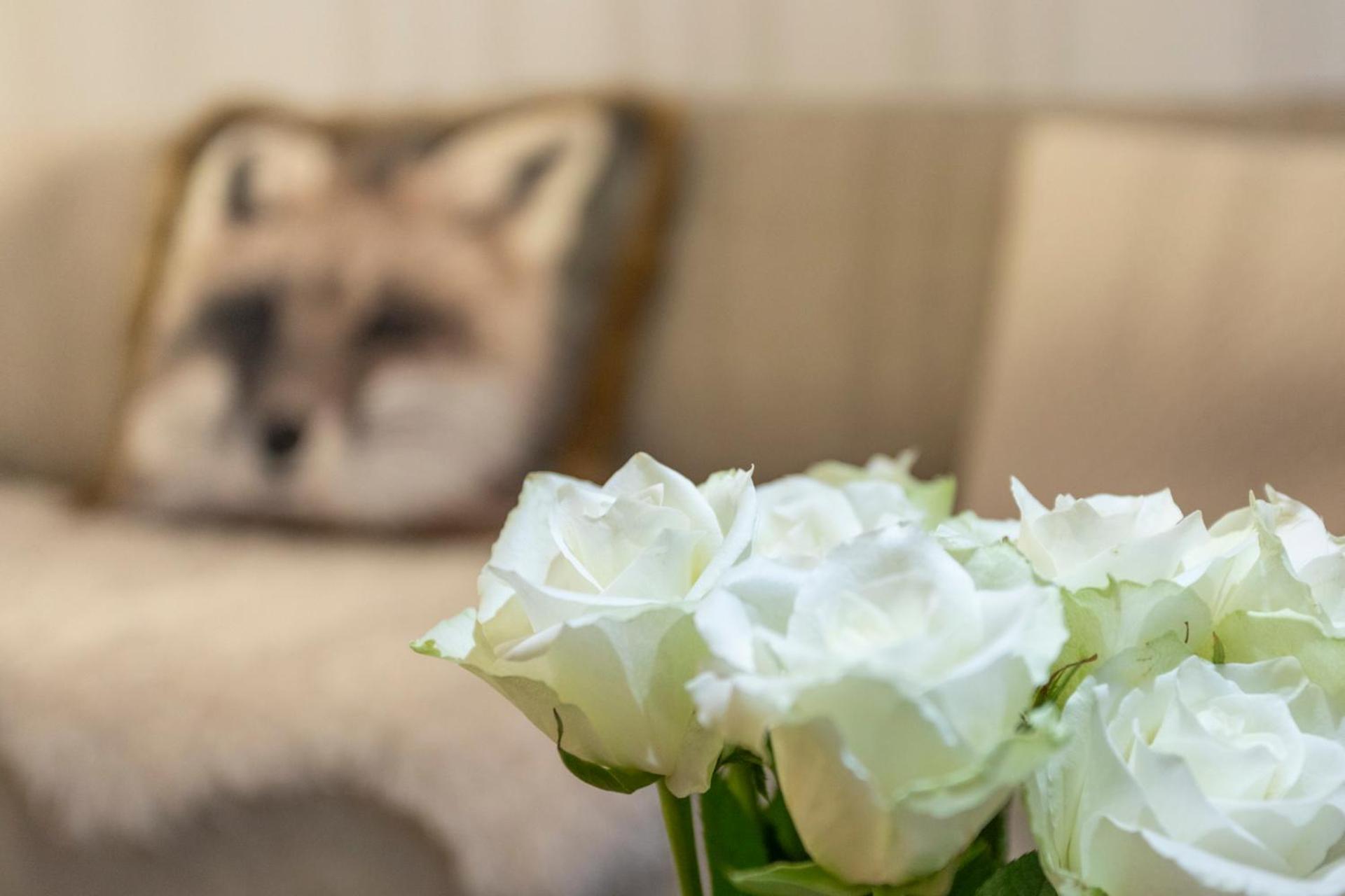 Vasko Luxurious Suites, Luppo Rovaniemi Dış mekan fotoğraf